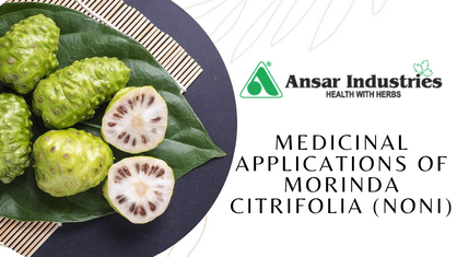 Medicinal-Application-Of-Herbal-Extract, Manufacturer-Of-Herbal-Powder-In-India


                                