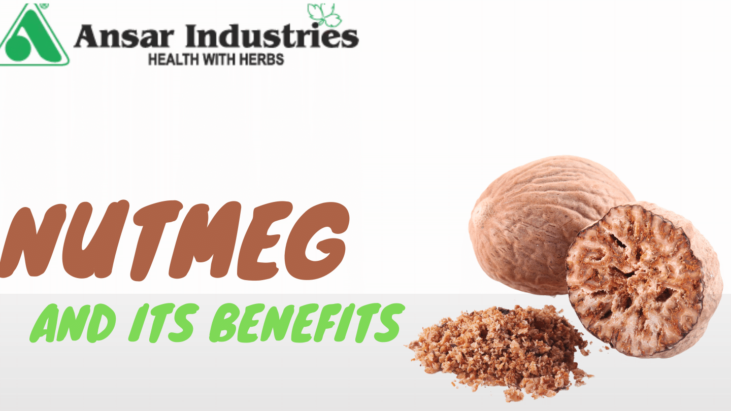 Benefits-Of-Nutmeg Best_Herbal_Products_In_India
