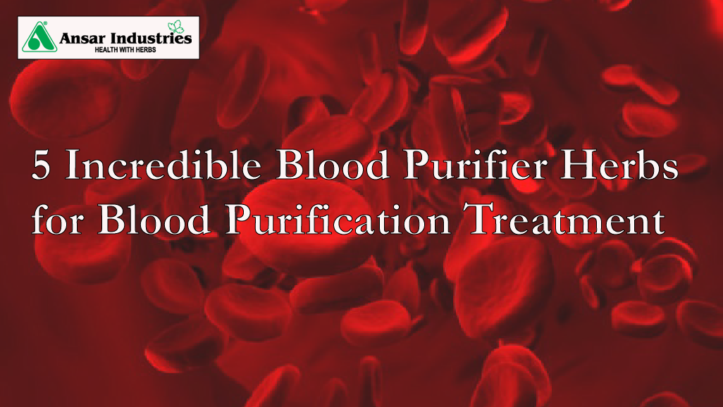   Herbal Extracts For Blood Purification |  Herbal-Extract-Manufacturer-In-India | Health-Benefits-Of-Neem |Herbal-Extract-Manufacturer-In-India | Herbal-Powders | Types-Of-Herbal-Powders |

