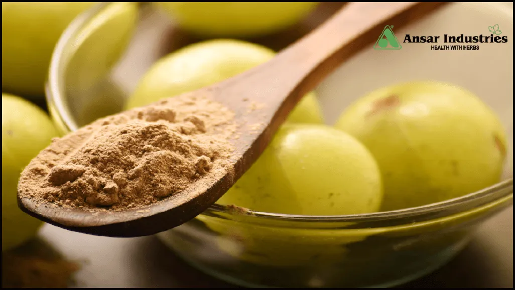  Benefits Of Using Amla Extracts  | Herbal Extract Manufacturer In India |   Types-Of-Herbal-Extracts | Herbal-Extract-Manufacturer-In-India | Herbal-Powders | Types-Of-Herbal-Powders |
