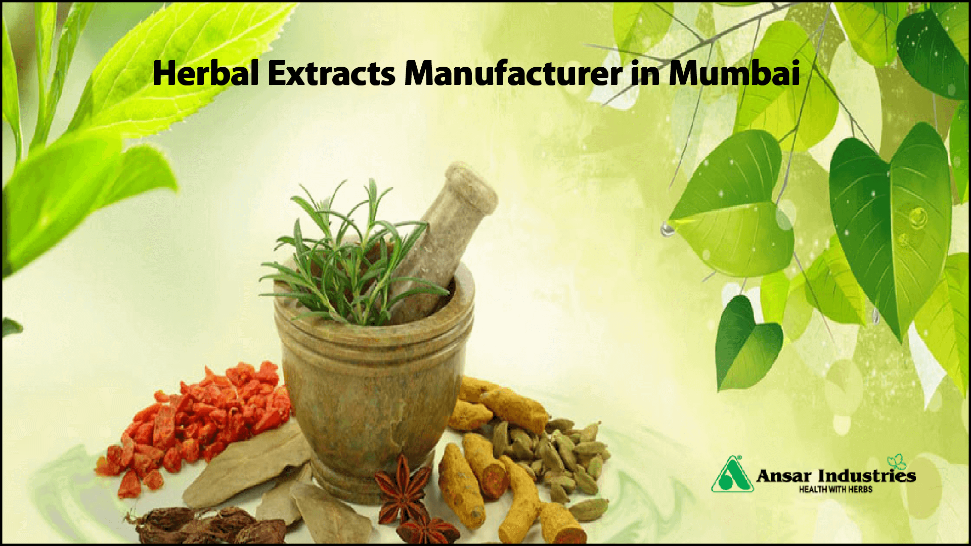 Herbal-Products-Manufacturer-In-Mumbai 
                                