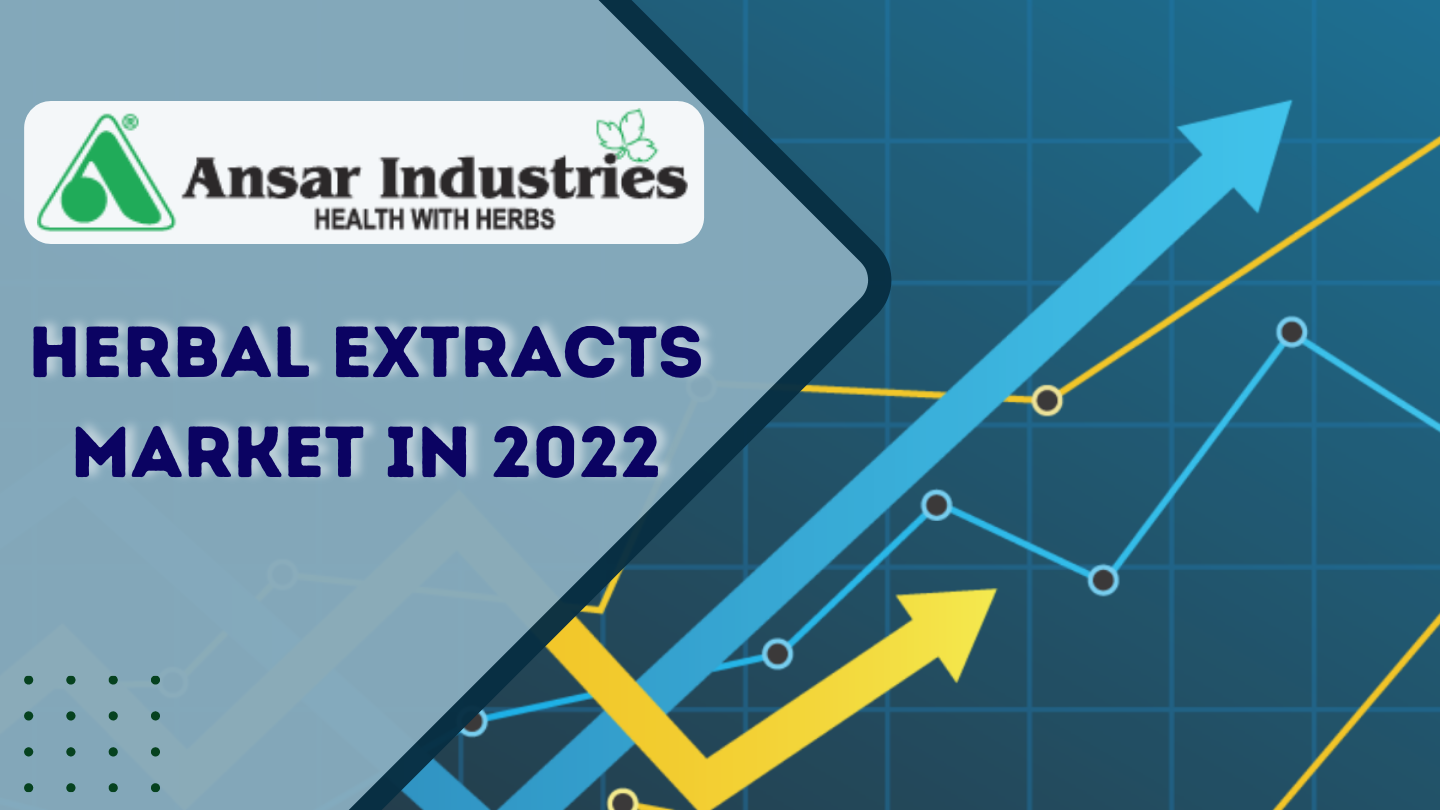 Herbal-Extracts-Market-In-2022 |  Best-Herbal-Extract-Manufacturer-In-India 