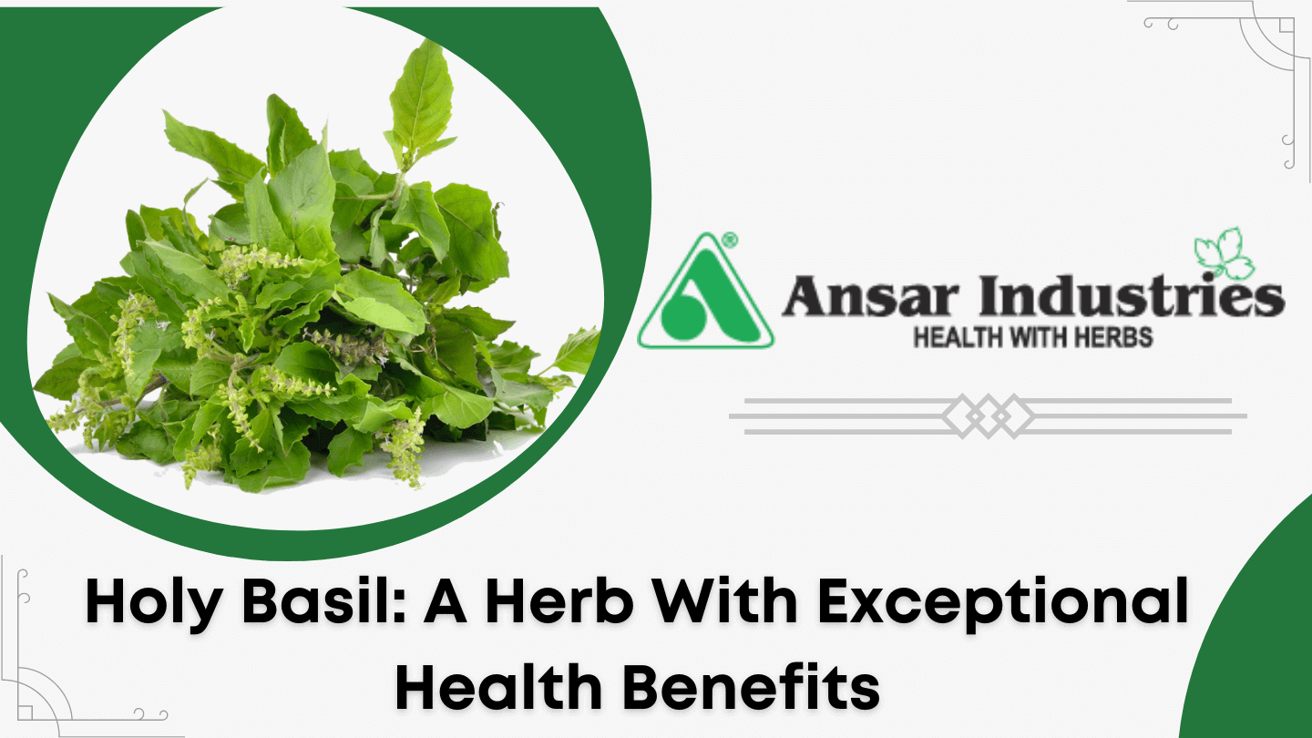 Herbal-Extract-Manufacturer-In-India | Herbal-Powder-Manufacturer-In-India.

                                