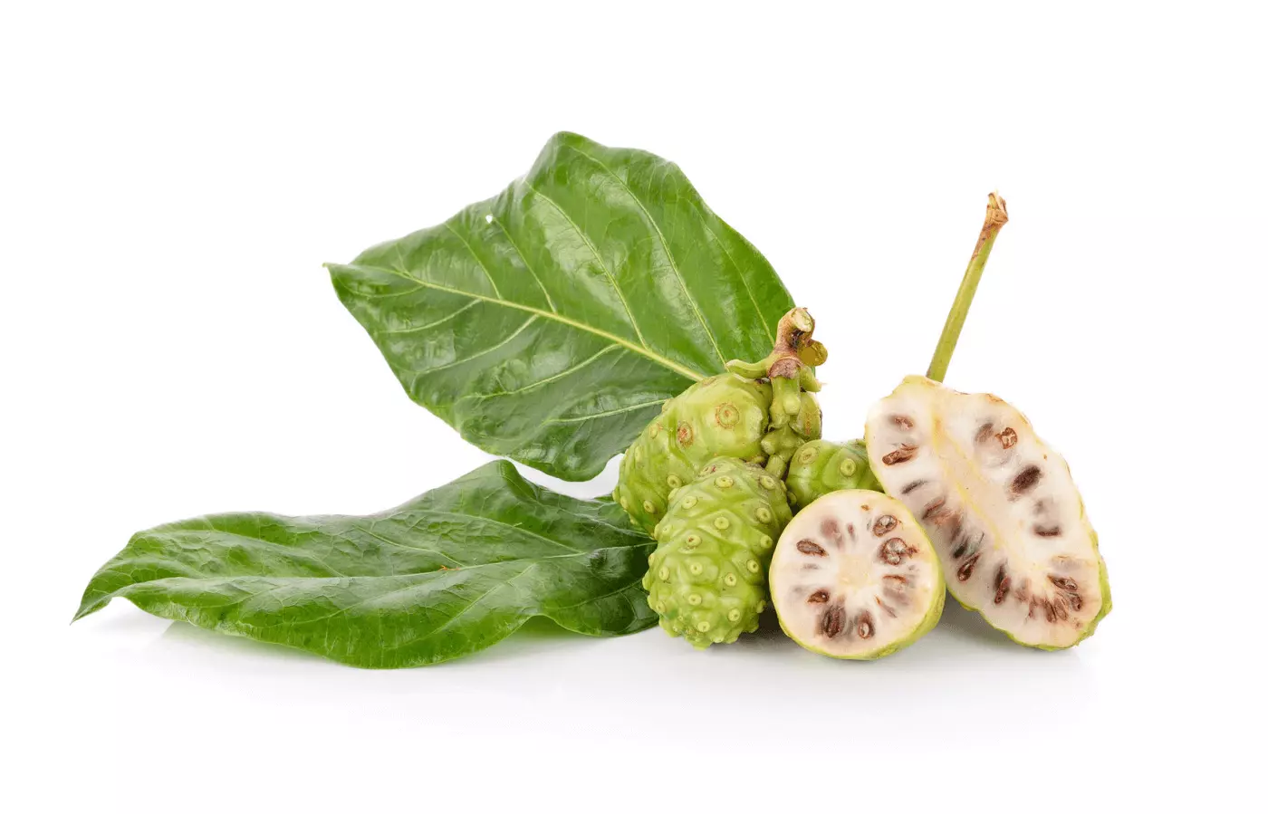 Noni-Extract-Manufacturers_manufacturer