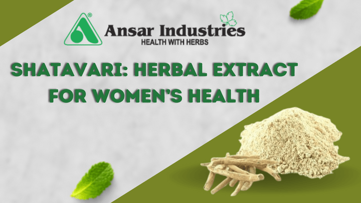 Shatavari-Herbal-Extract, Herbal-Extract-Company

                                
