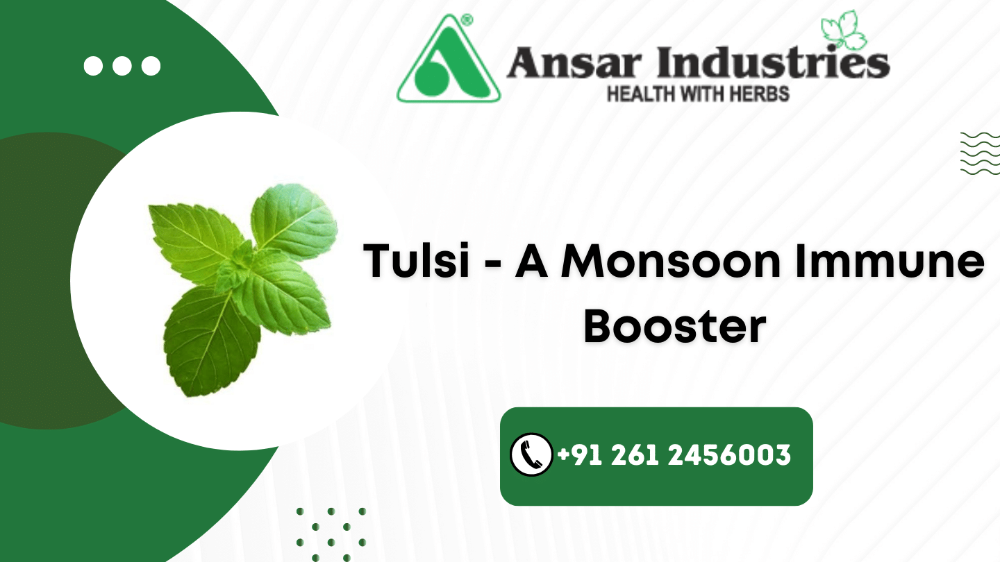  Herbal-Extract-Manufacturer-In-India | Herbal-Powder-Manufacturer-In-India.


                                