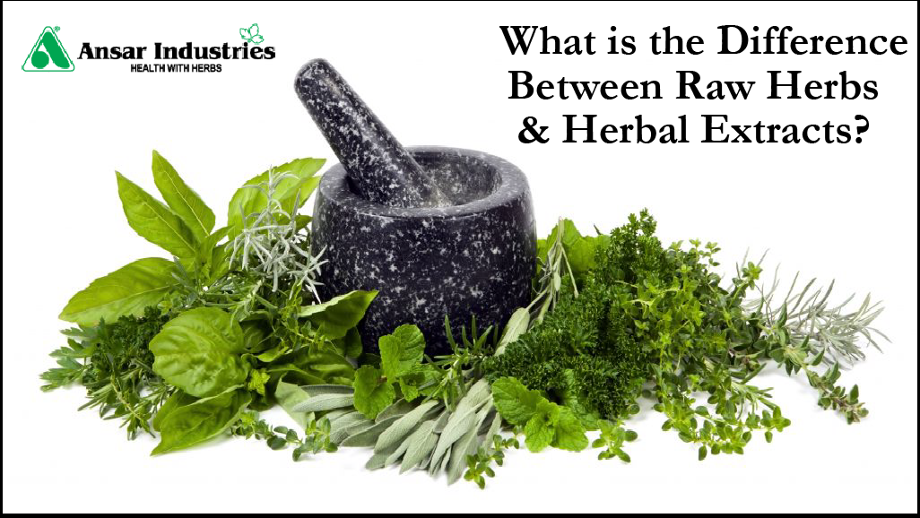  Herbal-Extracts | Herbal-Extract-Manufacturer-In-India | Difference-Between- Raw-Herbs-And-Herbal-Extracts | Herbal-Extracts-In-India |