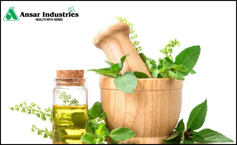 Herbal-Extracts | What-are-Herbal-Extracts | Application-of-Nanotechnology-to-the-Extraction-of-Herbal-Components | Types-Of-Herbal-Extracts | Herbal-Extract-Manufacturer-In-India | Herbal-Powders | Types-Of-Herbal-Powders |
                                        