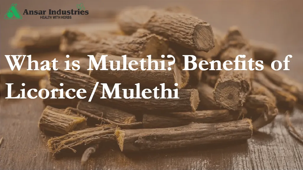 Licorice-Or-Mulethi | Health-Benefits-Of-Licorice-Or-Mulethi | Types-Of-Herbal-Extracts | Herbal-Extract-Manufacturer-In-India | Herbal-Powders | Types-Of-Herbal-Powders |