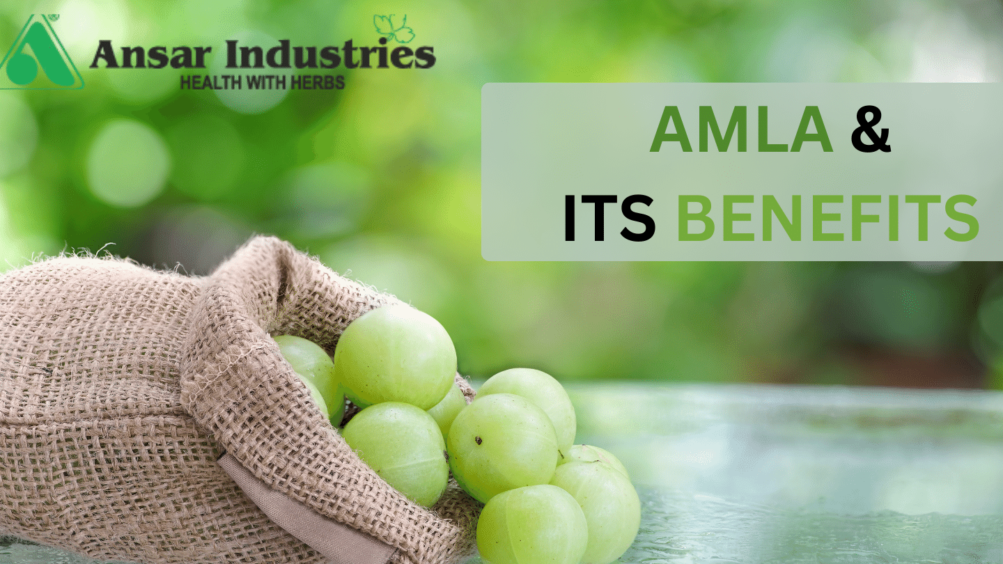 What-Are-The-Benefits-Of-Amla | Amla-Powder-Manufacturers-In-India | Ansar-Industries