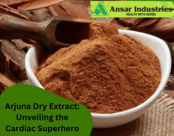 Arjuna Dry Extract In India | Herbal Extract Supplier
