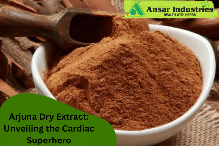 Arjuna Dry Extract In India | Herbal Extract Supplier