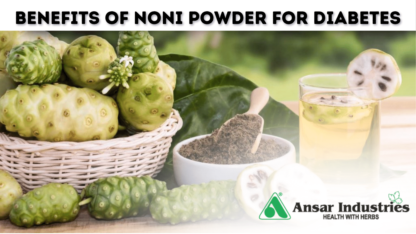 Benefits-of-Noni-Powder | Manufacturer-Of-Herbal-Powder-In-India

								