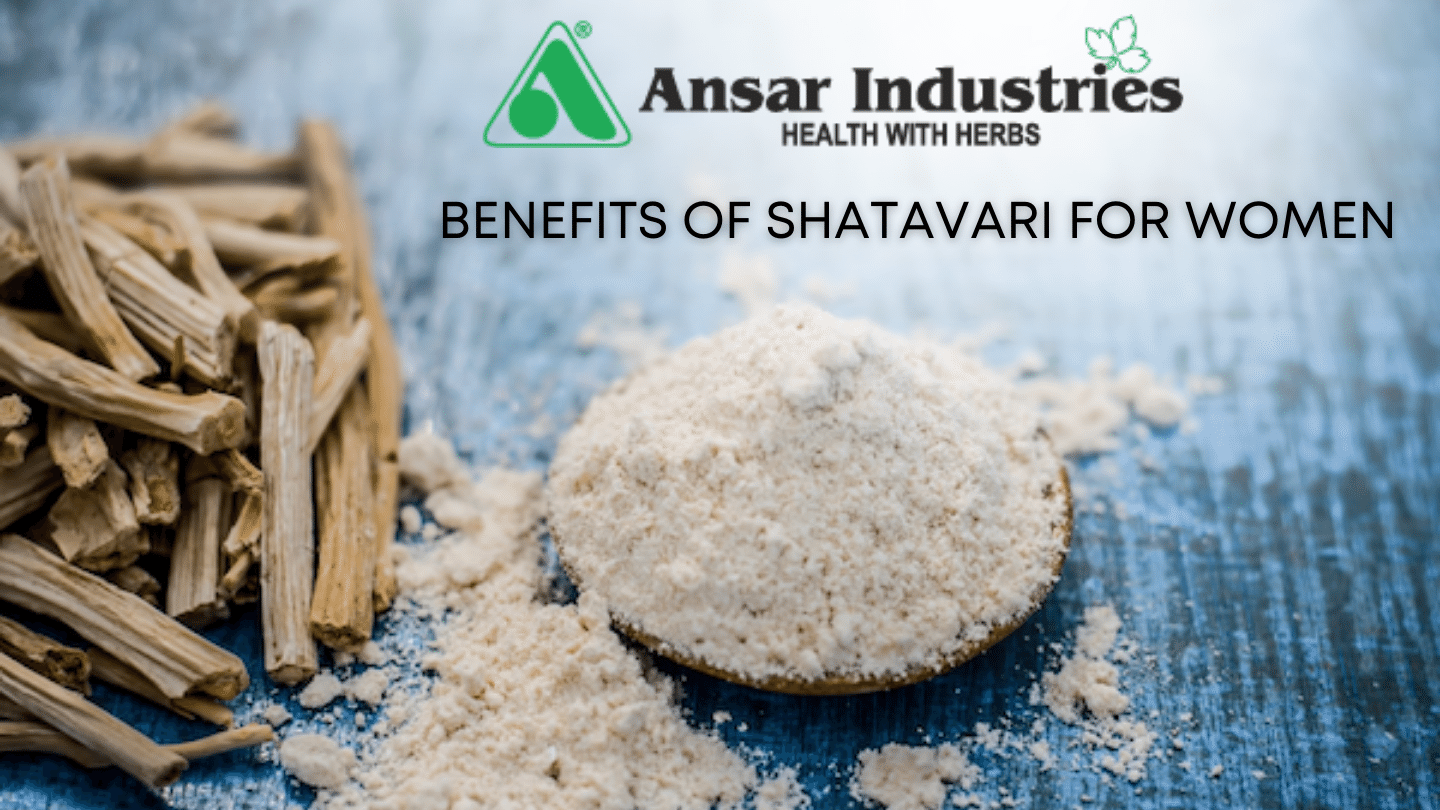 Shatavari-Herbal-Extract-In-India, Herbal-Extract-Company
                                