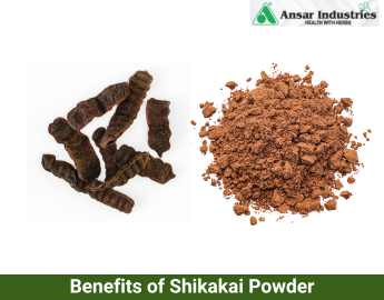 Manufacturer and Supplier of Shikakai Powder