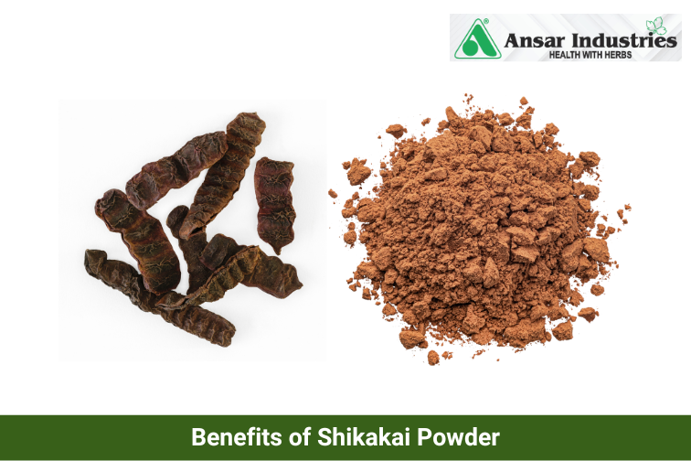 Manufacturer and Supplier of Shikakai Powder