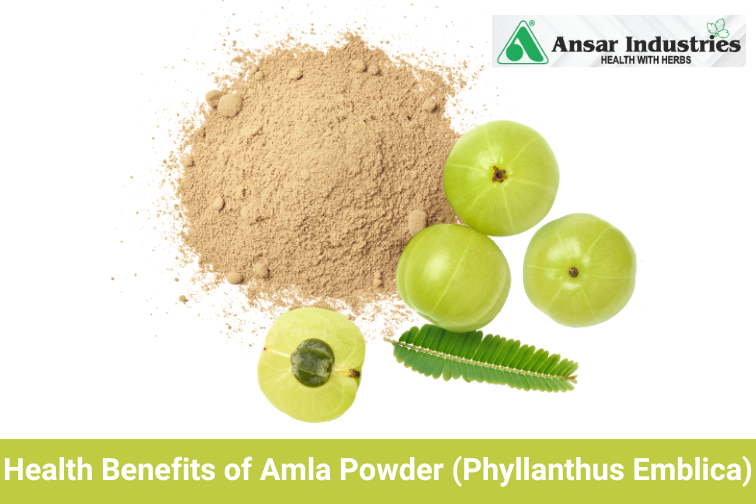 Manufacturer and Supplier of Amla Powder