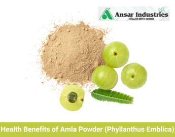 Manufacturer and Supplier of Amla Powder