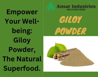  Giloy Powder Supplier In Surat   