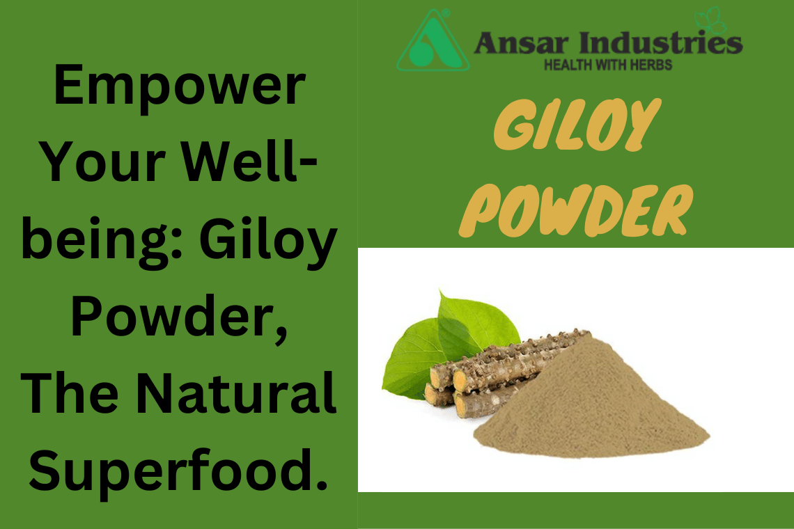 Giloy Powder Supplier In Surat 
