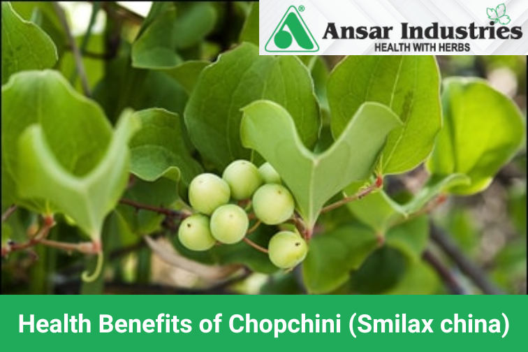 Health Benefits of Chopchini