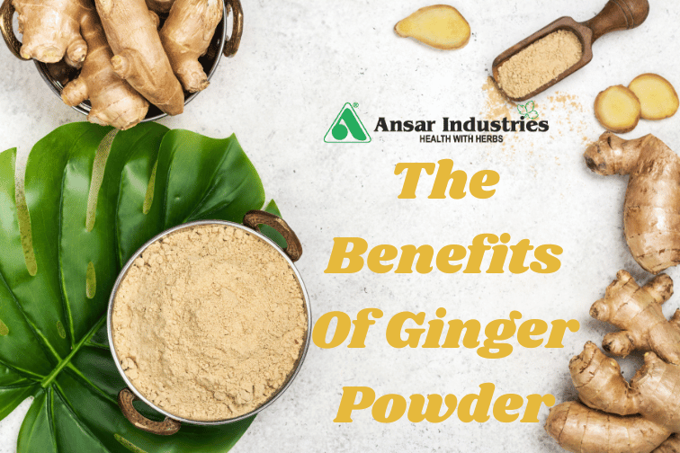 Ginger Powder In India | Ansar Industries