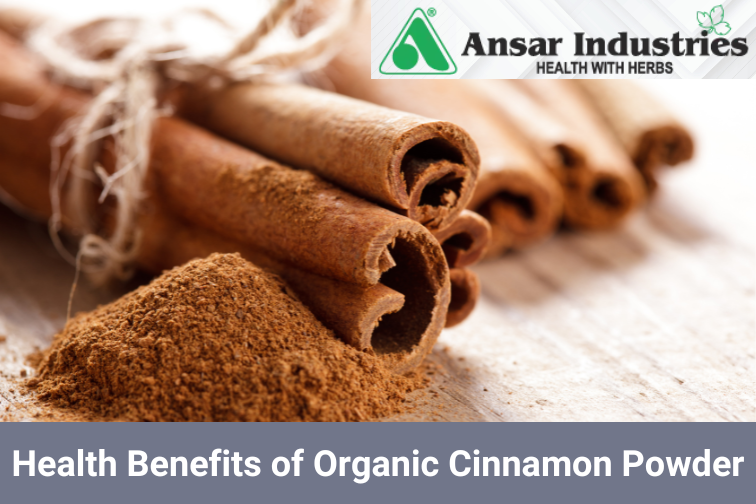 Organic Cinnamon Powder Supplier in India