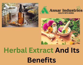 Herbal Extract Maufacturers In India, Benefits Of Herbal Extracts