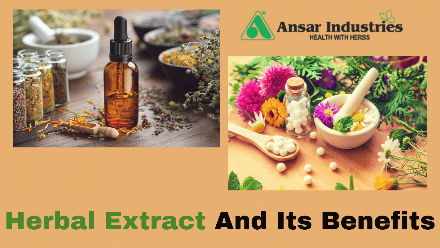 Herbal Extract Maufacturers In India, Benefits Of Herbal Extracts