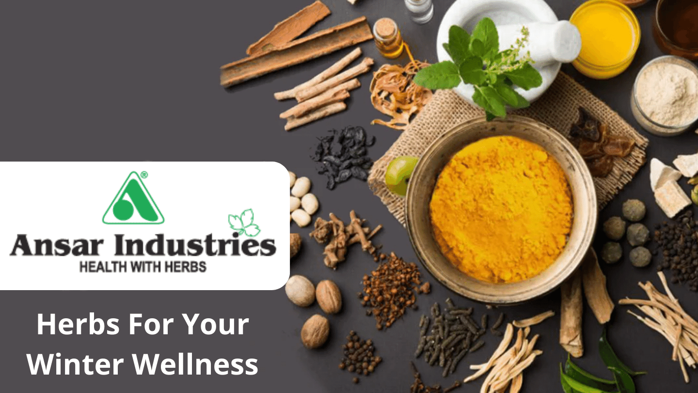 Herbal Extracts Manufacturer Herbal Wholesale Supplier In India