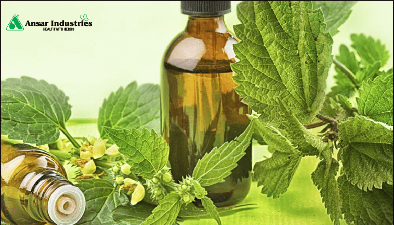 How To Use Herbal Extracts In Cosmetic Formulas Herbal Extract