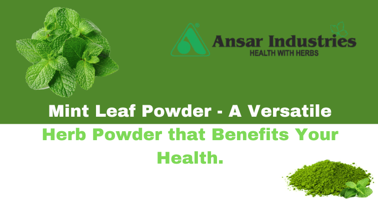 Mint Powder Supplier In India | Ansar Industries