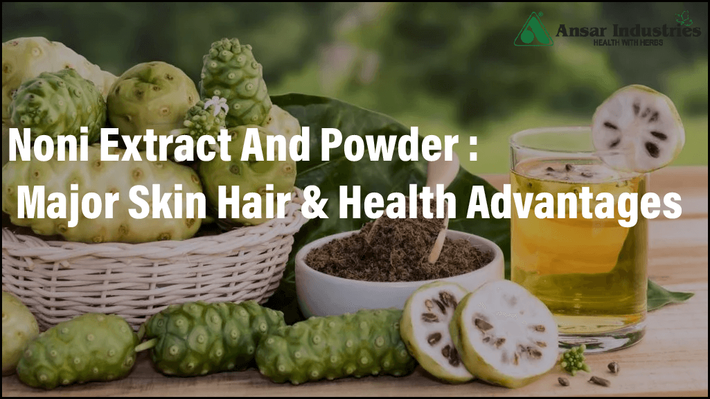 Noni Extract And Powder Major Skin, Hair, and Health Advantages