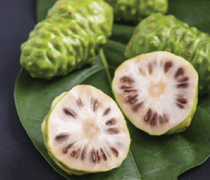 Noni_herbal_extracts , Noni_herbal_powder