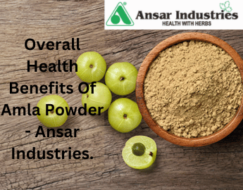 Wholesaler Of Amla Powder In Surat