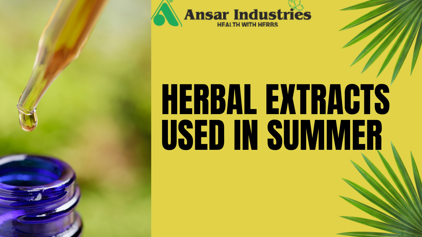  Herbal-Extract-Used-In-Summer | Herbal-Extract-Supplier-In-Gujarat | Herbal-Extract-Manufacturer-In-India 