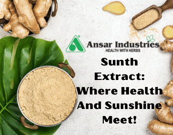   Manufacturer Of Herbal Extract In Surat   