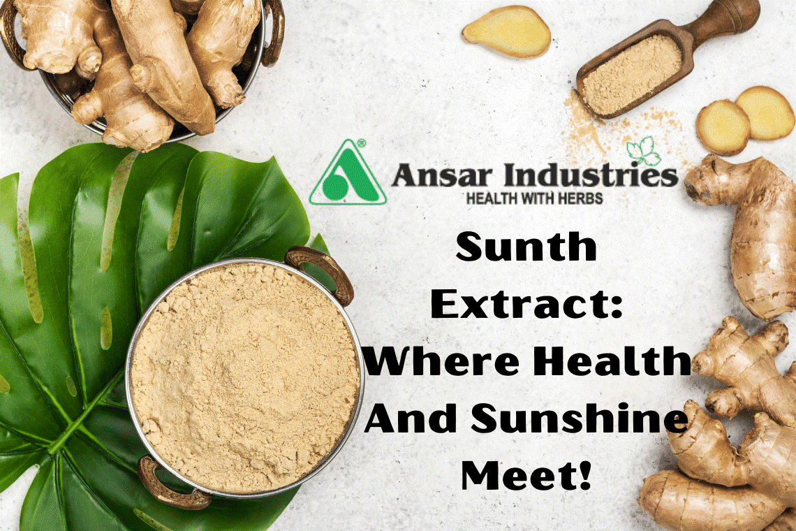 Manufacturer Of Herbal Extract In Surat  