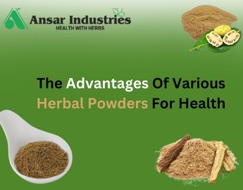 How-To-Incorporate-Herbal-Powders-And-Extracts-Into-Your-Daily-Routine | Herbal-Powder | Herbal-Extract | Ansar-Industries