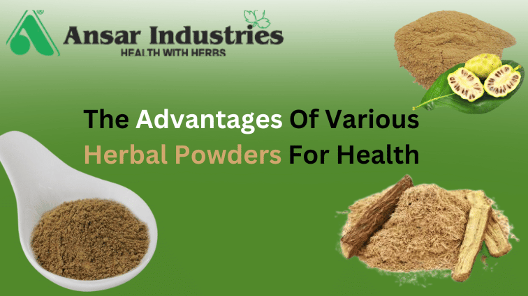 The-Advantages-Of-Herbal-Powders-For-Health | Best-Herbal-Powder-In-India