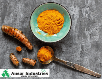 Turmeric Powder Supplier In India |  Ansar Industries 