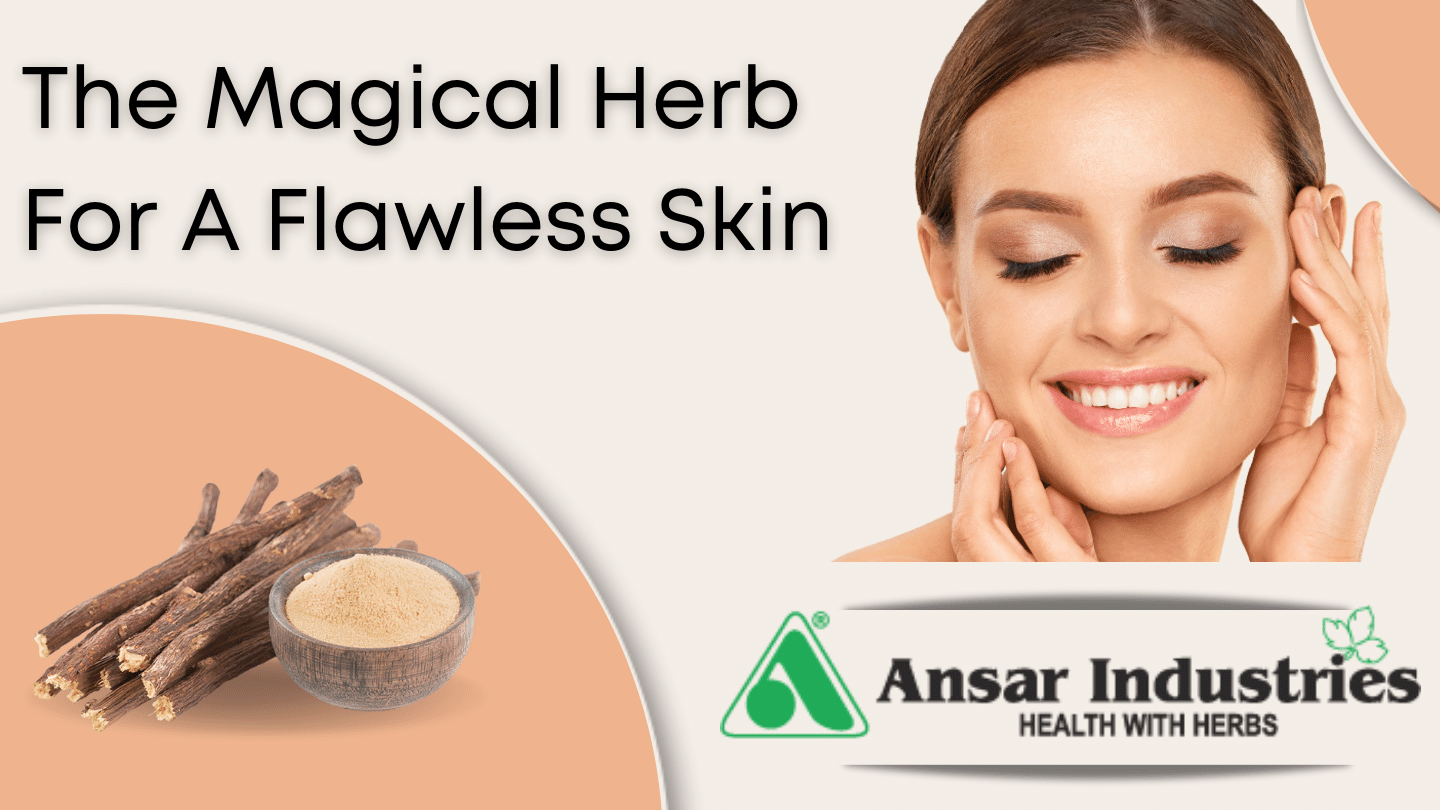 Supplier-Of-Herbal-Powder, Manufacturer-Of-Herbal-Powder-In-India