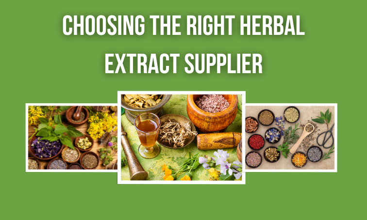 Herbal Extract Supplier