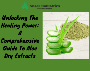 Herbal Extract Producer In Surat