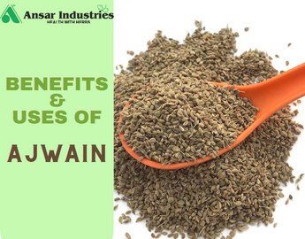 What-Are-Ajwains-Its-Benefits-And-Uses | Herbal-Powder-Manufacturers-In-India  | Ansar-Industries  