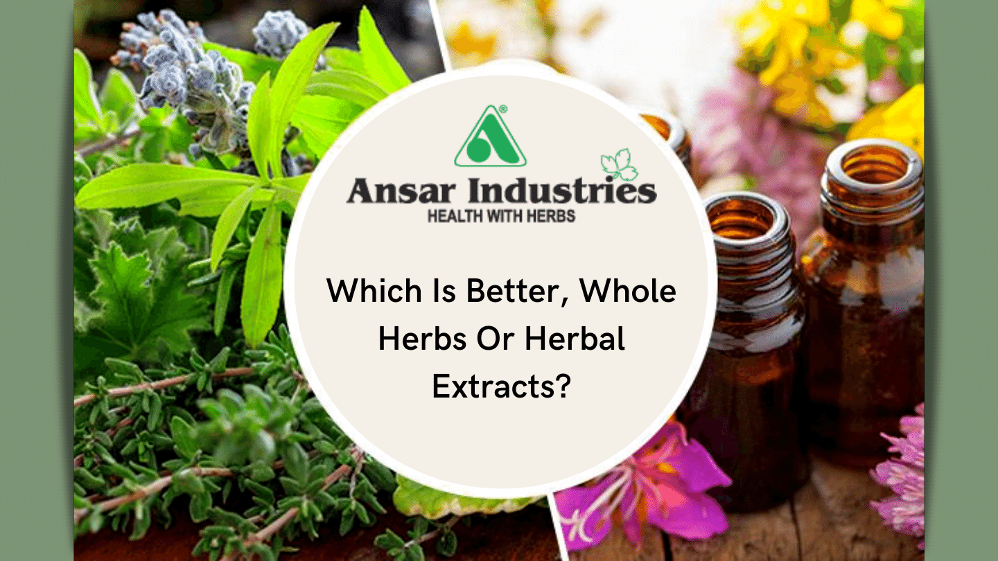 Herbal Powder Supplier | Buy Herbal Extracts In Pune
