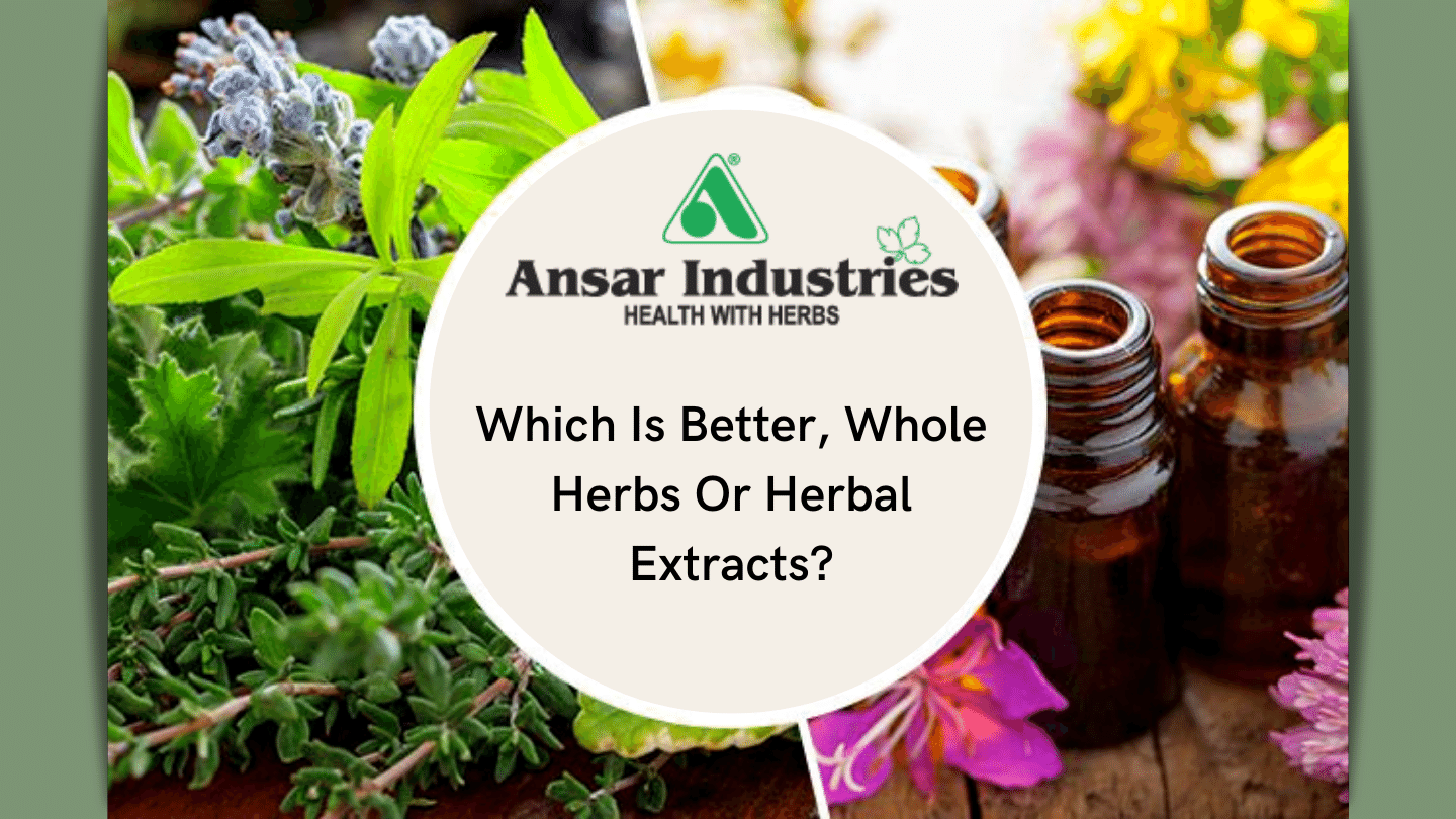 Herbal Extracts Supplier In India Buy Herbal Powder Ansar Industries